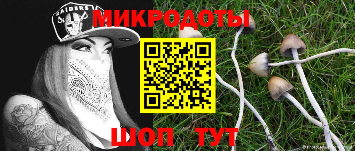 Псилоцибиновые грибы прущие грибы Учалы